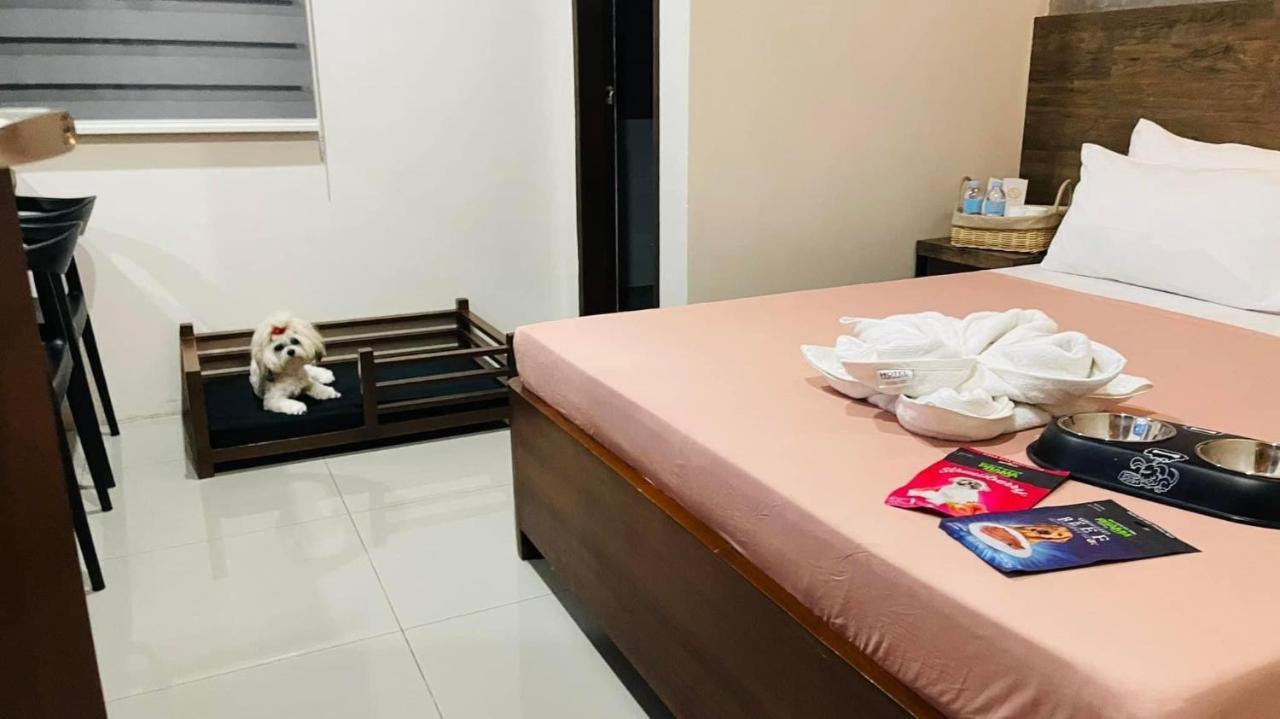 A&E Apartelle 巴科洛德 外观 照片