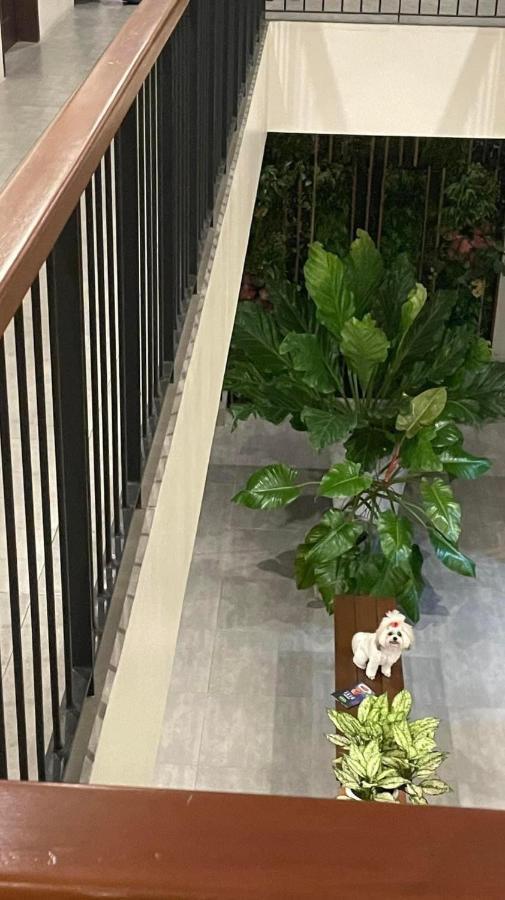 A&E Apartelle 巴科洛德 外观 照片